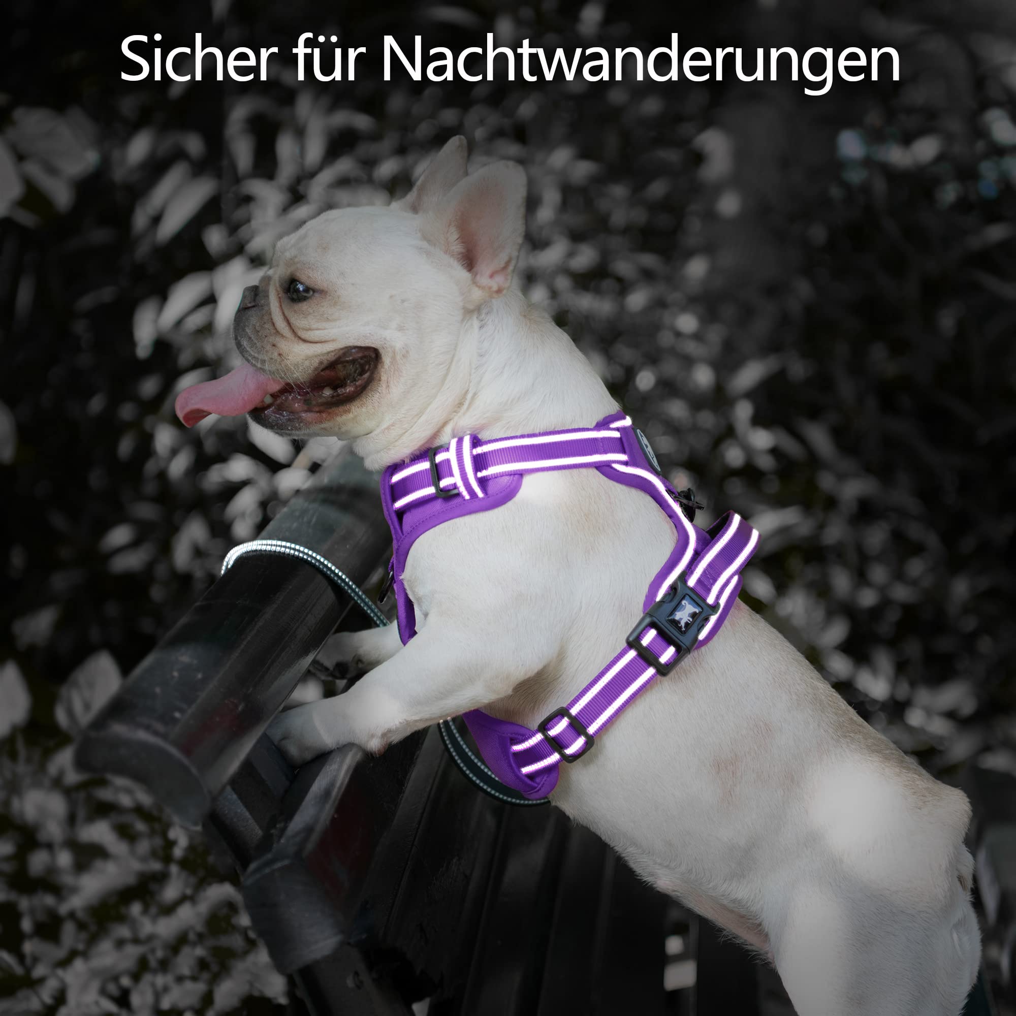 PoyPet Pettorina per cani senza trazione, pettorina riflettente per cani di taglia grande senza strangolamento, pettorina regolabile, imbottita in morbido tessuto con maniglia di controllo semplice