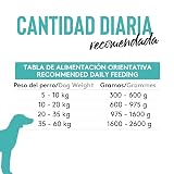 Ver la foto 6