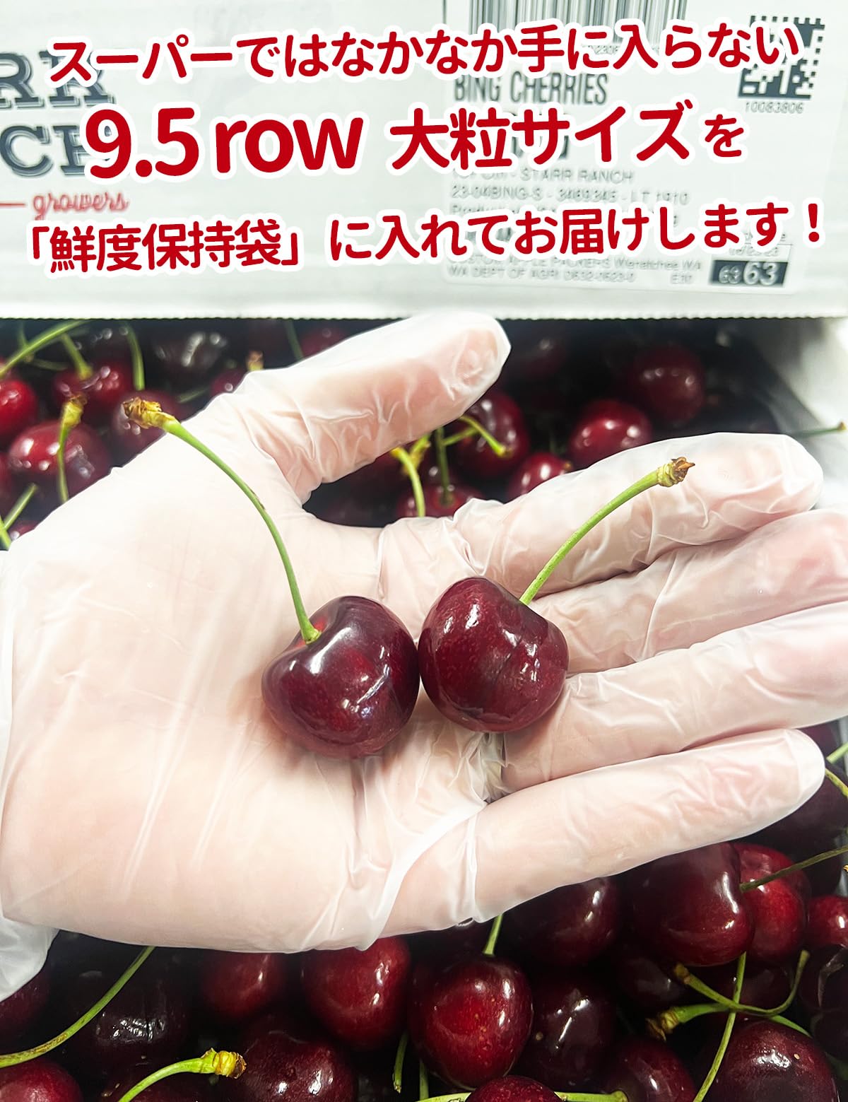 Amazon.co.jp: アメリカンチェリー 約8kg 産地箱 大粒 9.5Row｜空輸