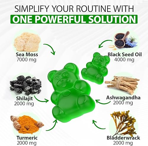Miniatura 2 de Gomitas de musgo marino con aceite de semilla negra de saúco, Ashwagandha Jengibre, Bladderwrack, vitamina C, vitamina D, inmunidad mejorada y