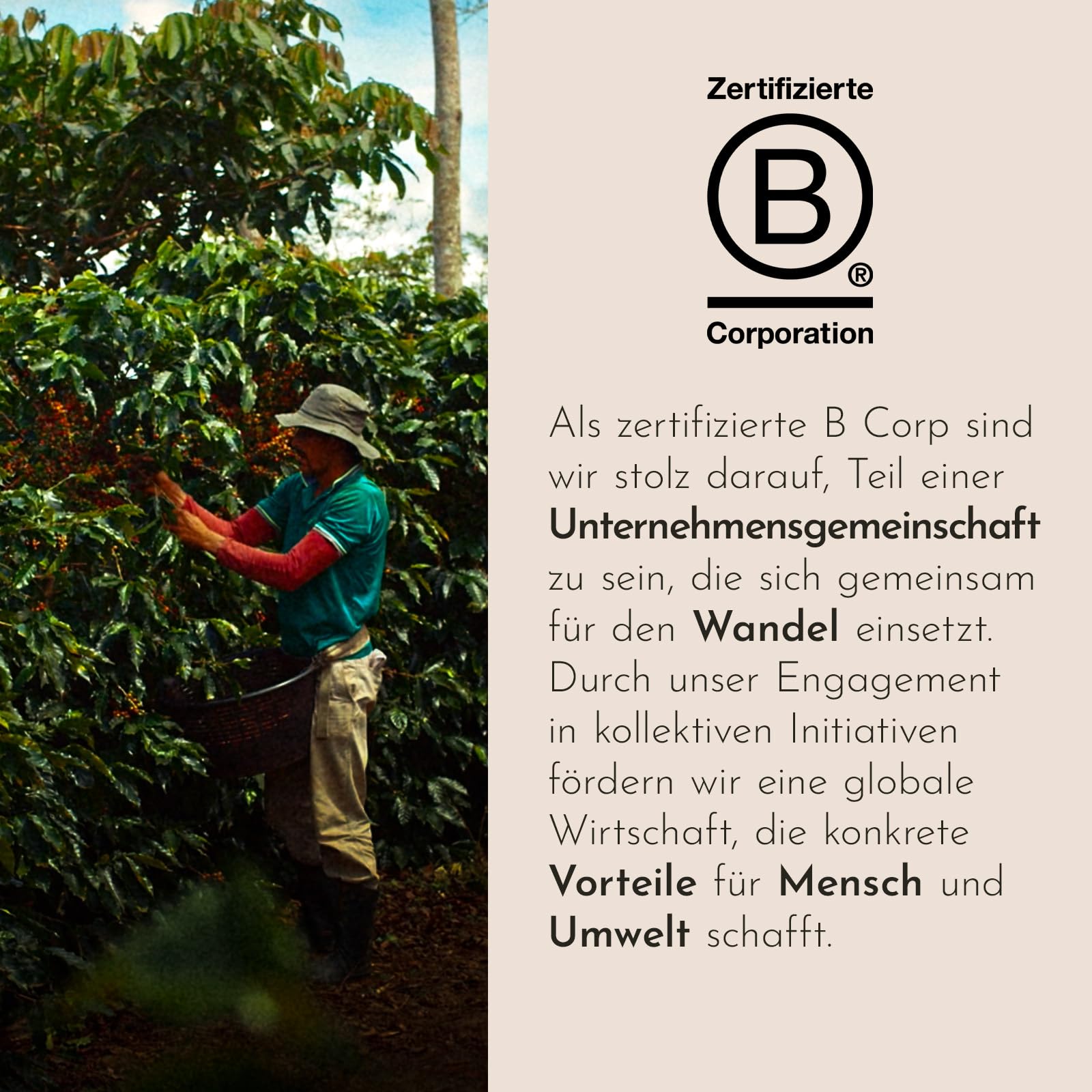 illy, Kapseln Iperespresso Arabica Selection Äthiopien, 108 Kapseln