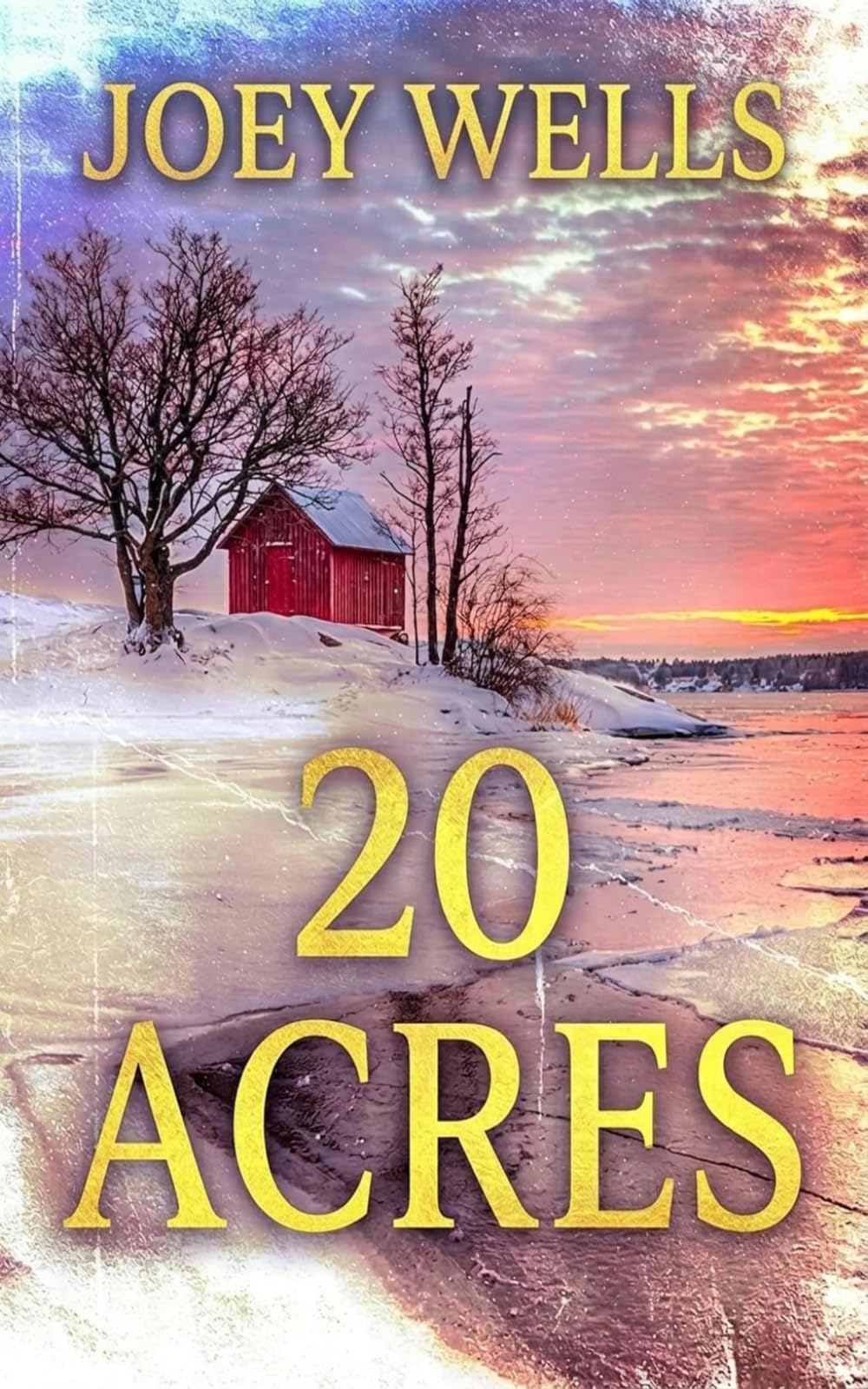 Twenty Acres: An EMP Post Apocalypse Prepper Survival Thriller: 155 (EMP Survival in a Powerless World)