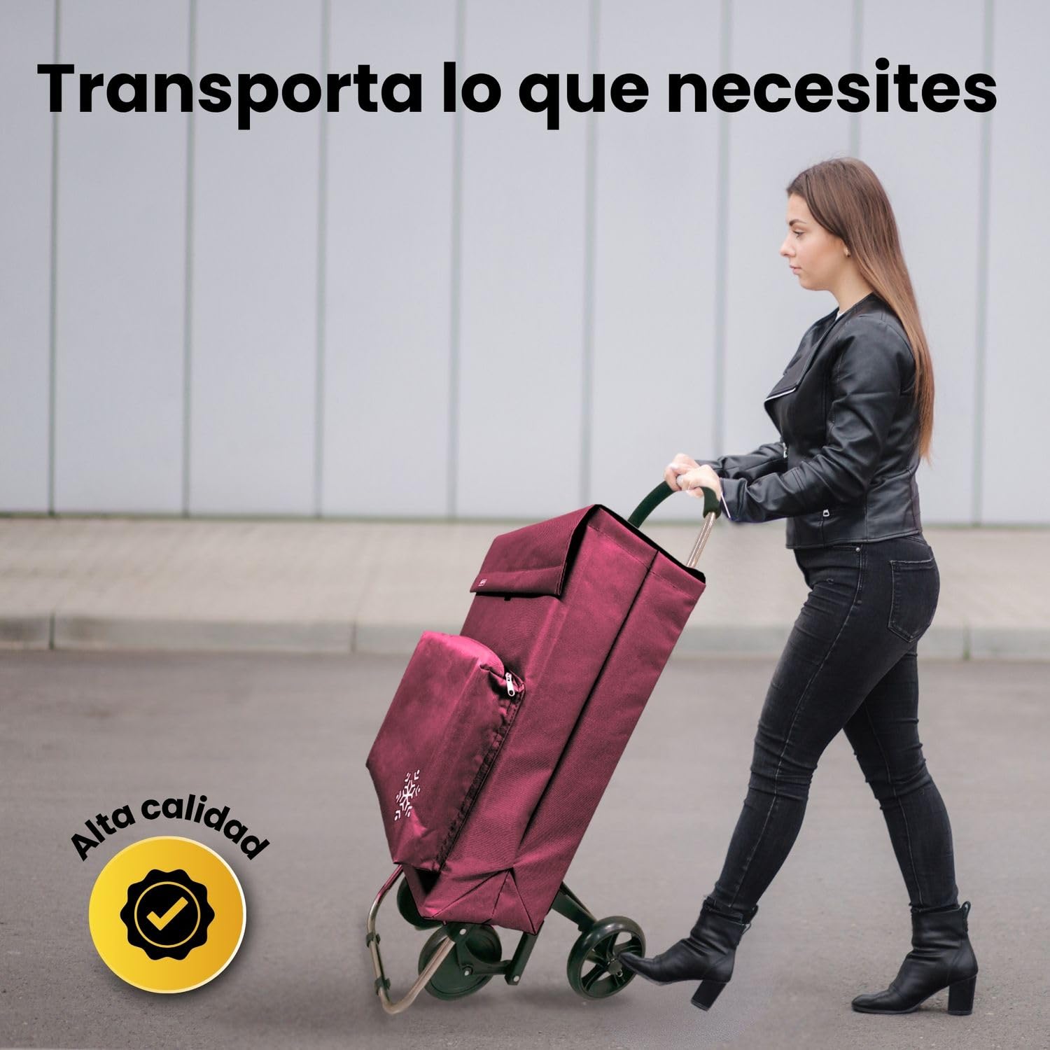 Carro de la Compra 50L con Compartimento Refrigerante y Gancho, 4+2 Ruedas Ideal Supermercado Granate