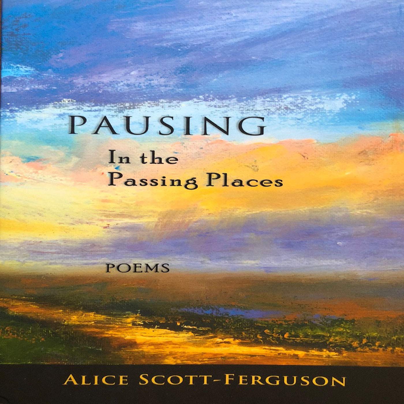Pausing in the Passing Places