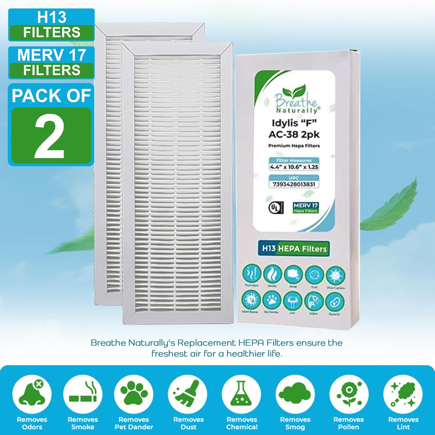 Breathe Naturally - Premium HEPA Filters Compatible with Idylis F AC-38 Series Air Purifiers - Made for Idylis F AC-38/560885 Series - HEPA Filters Packaged in USA(2 Pack Replacement HEPA Filter)