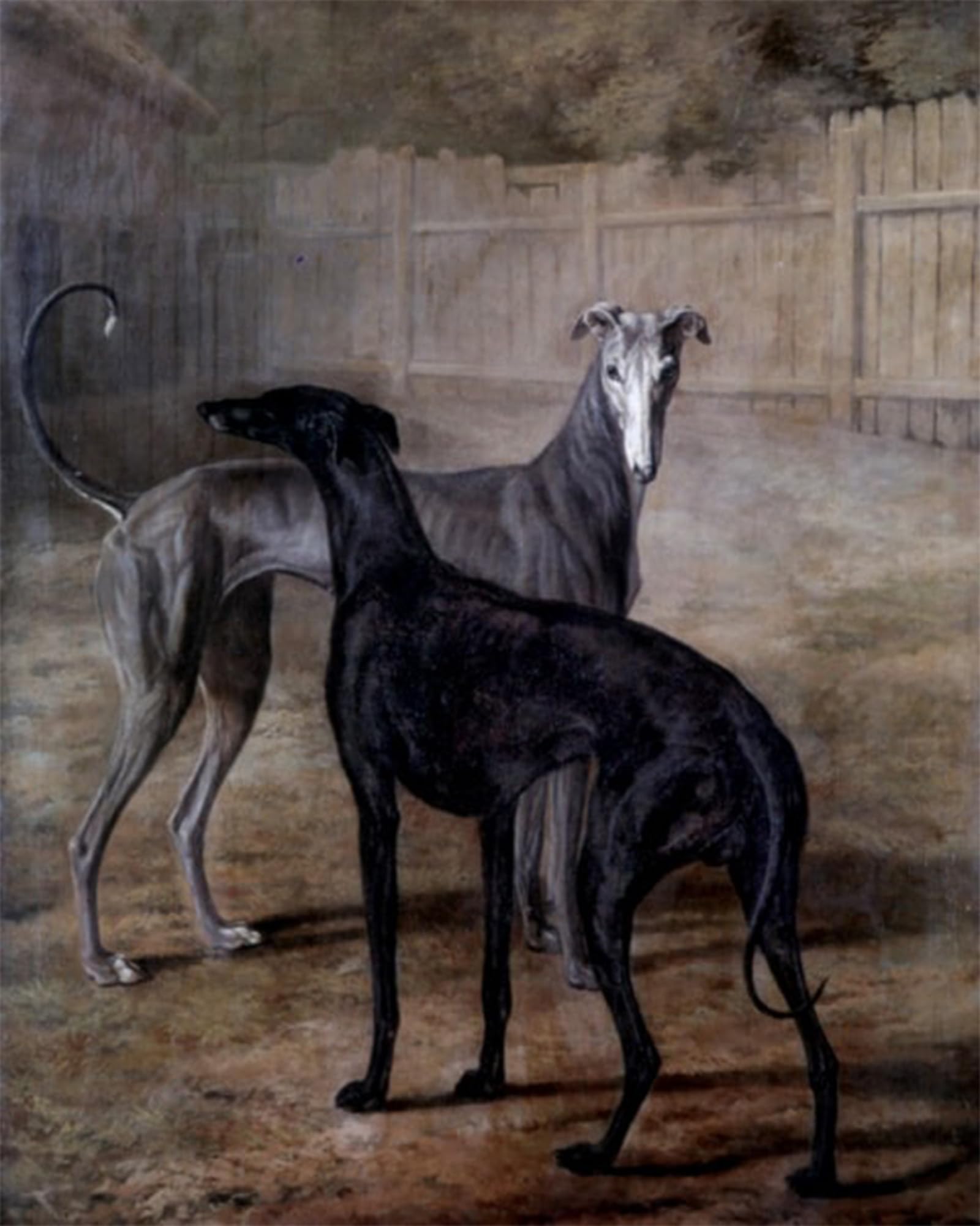 POSTERIIk Famous Animal Posters Vintage Picture Rolla and Portia by Jacques-laurent Agasse Modern Wall Decor for Home Decor 60x90cm