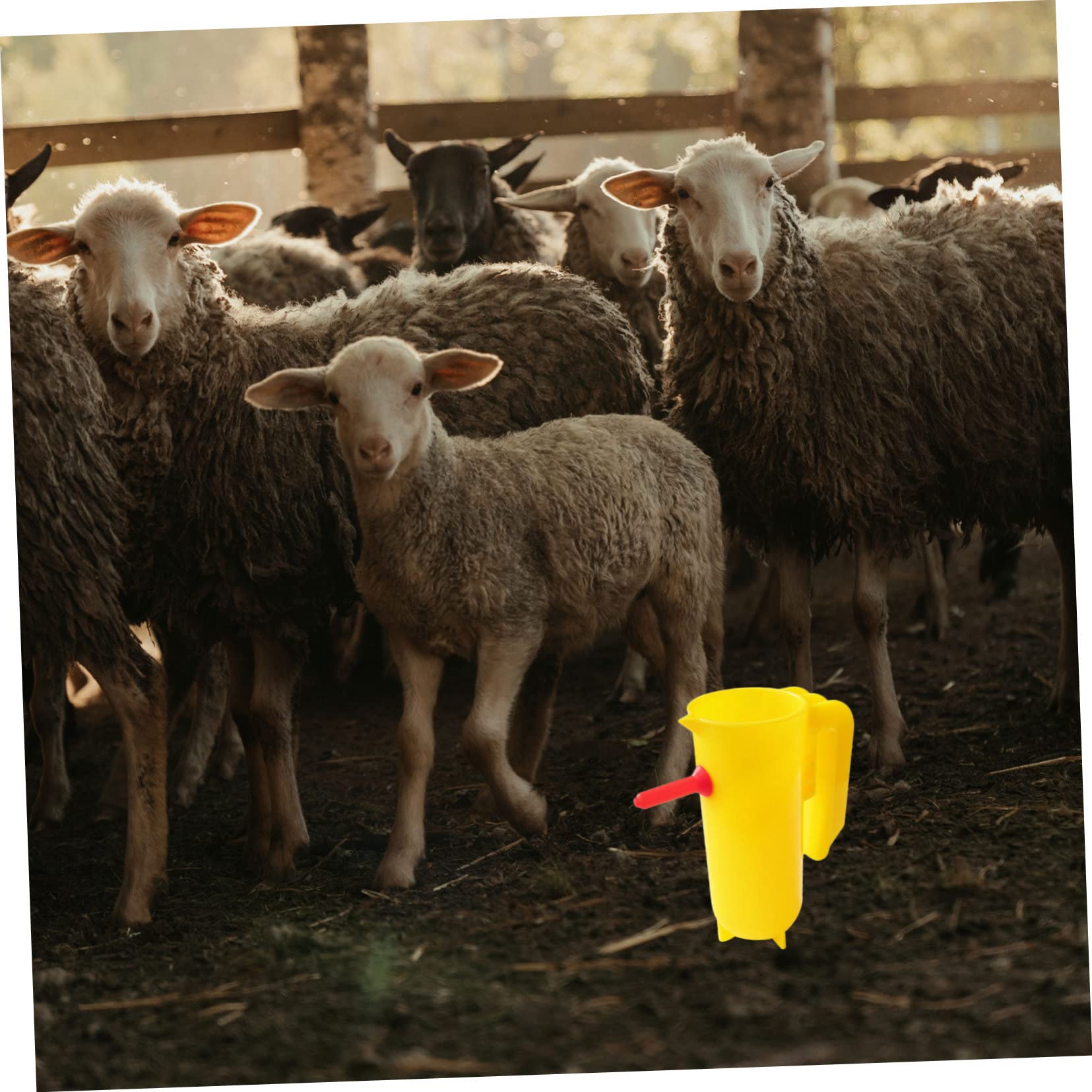 Mipcase 6 Pièces Sucette bouteille de lait accessoires pour bouteilles d'eau outils d'alimentation d'agneau chèvres mamelons d'alimentation d'agneau tétines de biberons d'agneau rouge