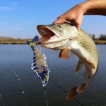 Amazon.co.jp: バス用釣りルアー,バス釣りルアー - バス釣り用