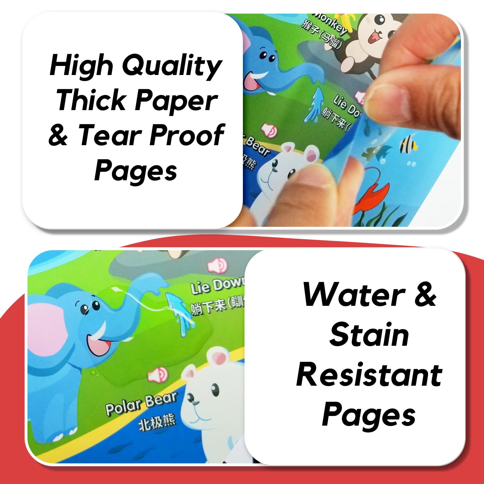 英語小神童 2枚組 DVD 中国語で英語を学ぶ 英語小神童 2枚組 DVD 中国語で英語を学ぶ