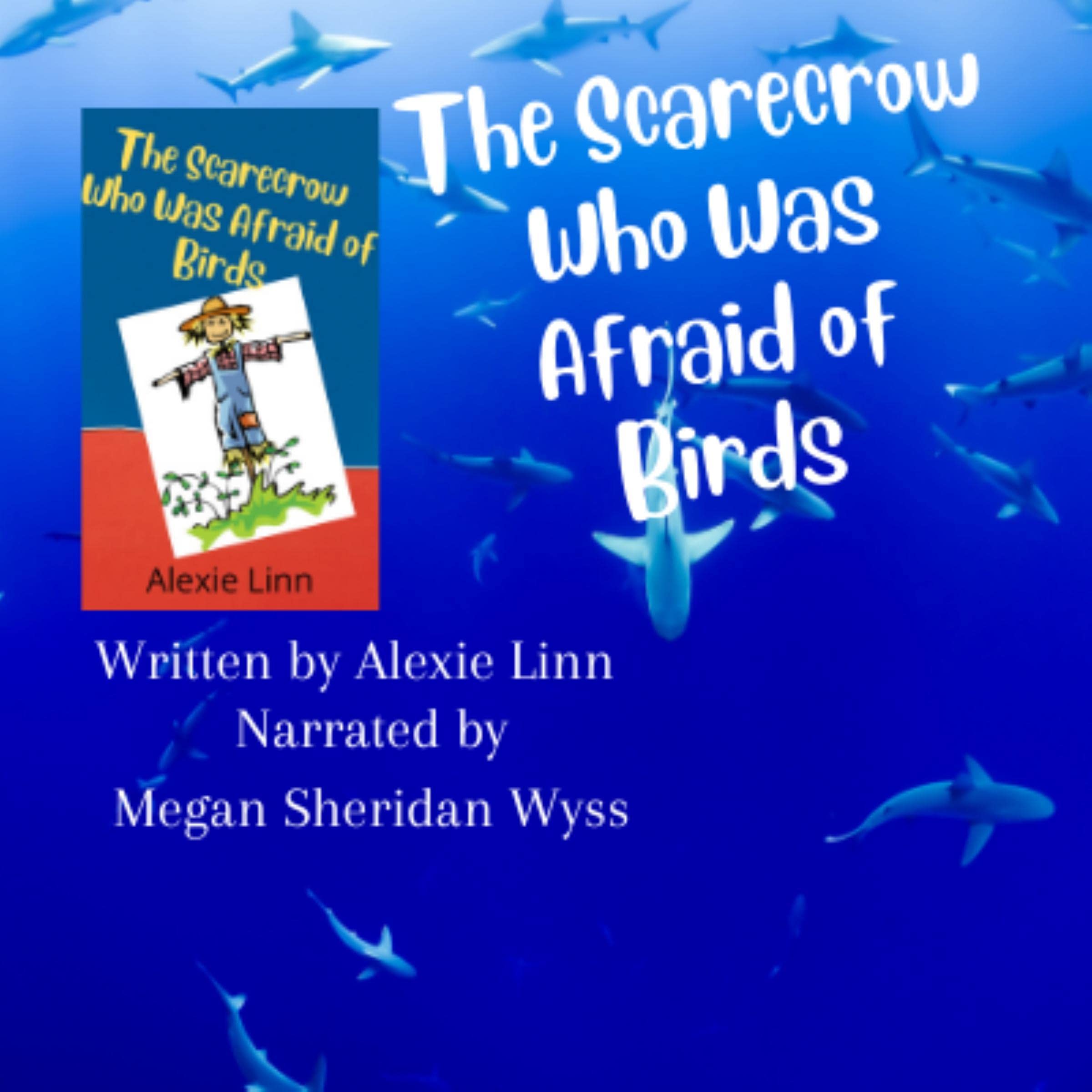 Cover art for The Scarecrow Who Was Afraid of Birds