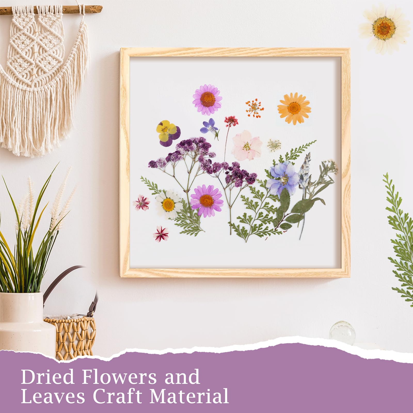 MXTIMWAN Fiori Secchi Decorativi 66 Pz, Fiori Pressati Naturali per Candele, Resina, Scrapbooking