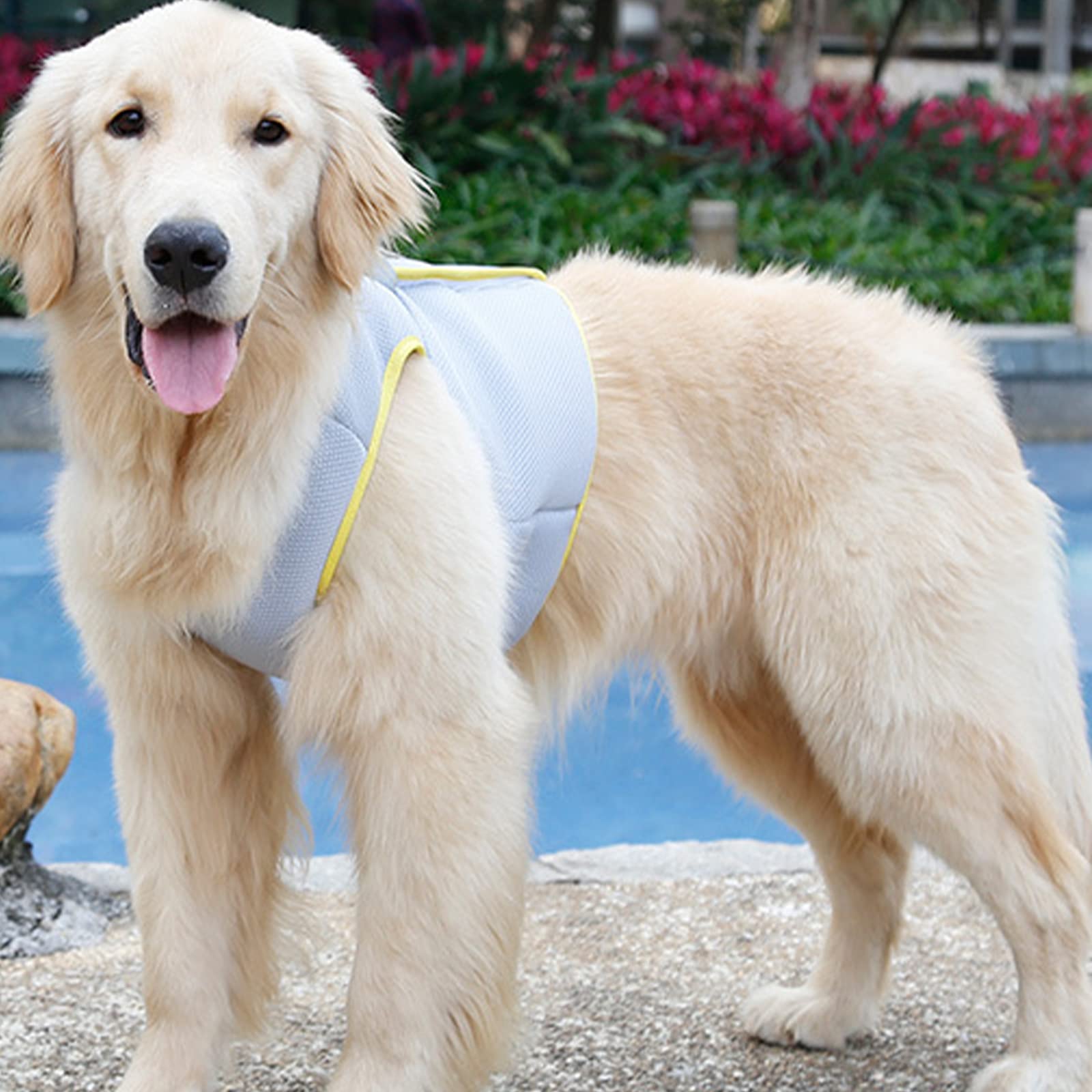 HMJGDHX Gilet rafraîchissant pour Chiens, Veste légère pour Chiens de Petite, Moyenne et Grande Taille, Manteau rafraîchissant pour la Marche en Plein air, la Chasse, l'entraînement, Le Camping,
