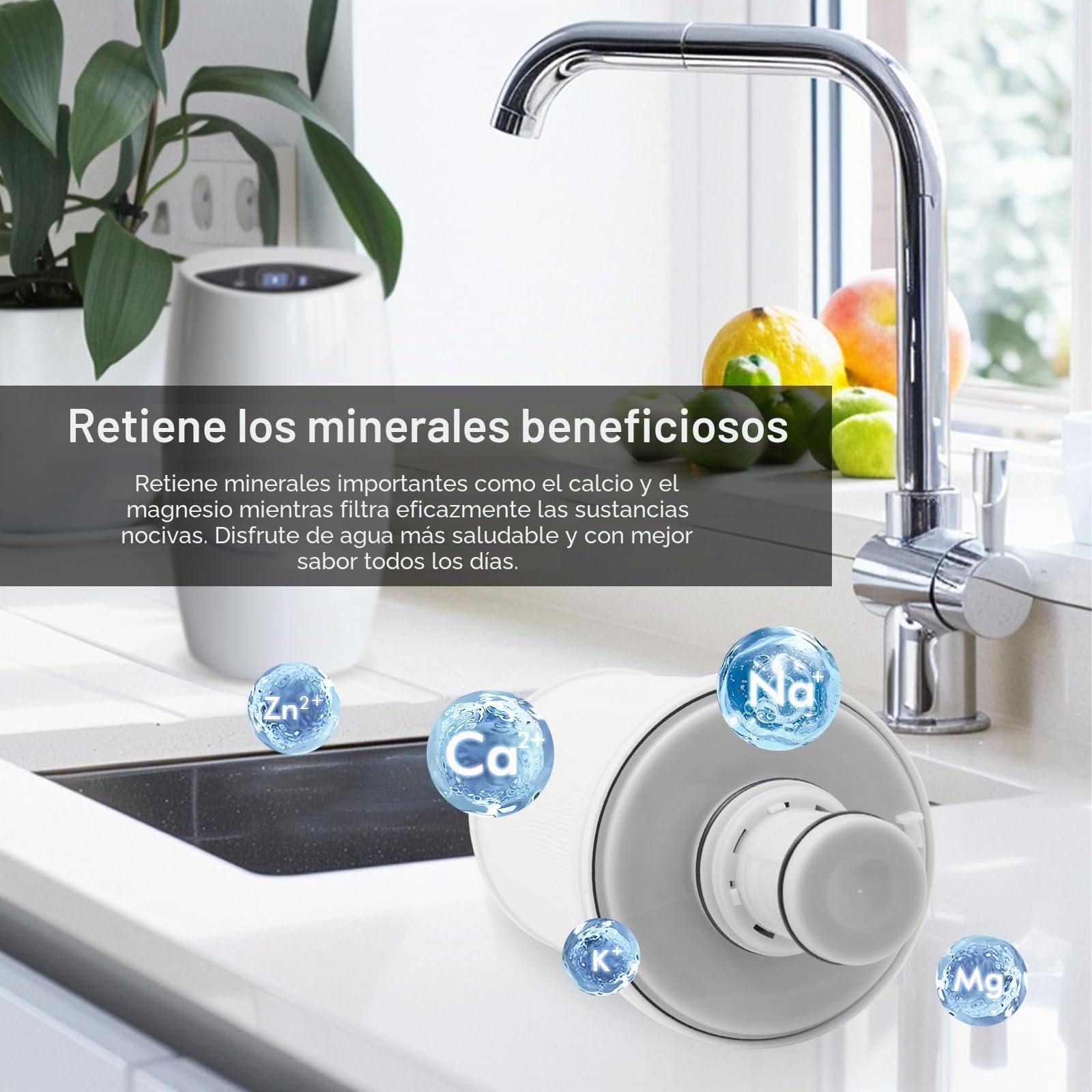 Filtro de Agua compatible con Amway espring 100186M/100188CH, Repuesto de Filtro de Agua, Cartuchos de Filtro de Agua, Calidad del Agua Mejorada