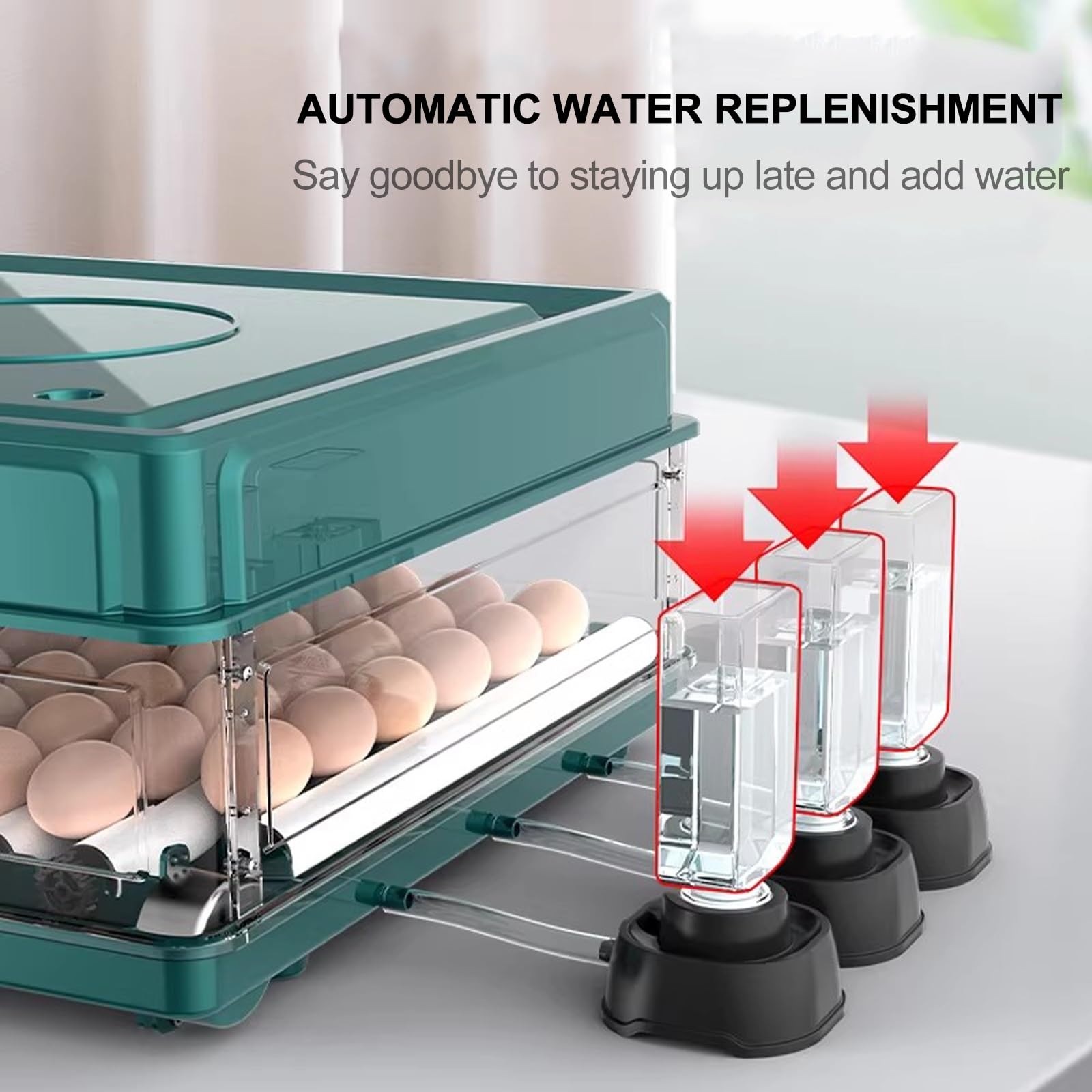 Incubadora de Huevos de Gallina, con Volteador Automático, Ovoscopio y Control de Temperatura, for Incubar Huevos de Gallina, Codorniz(36pieces)