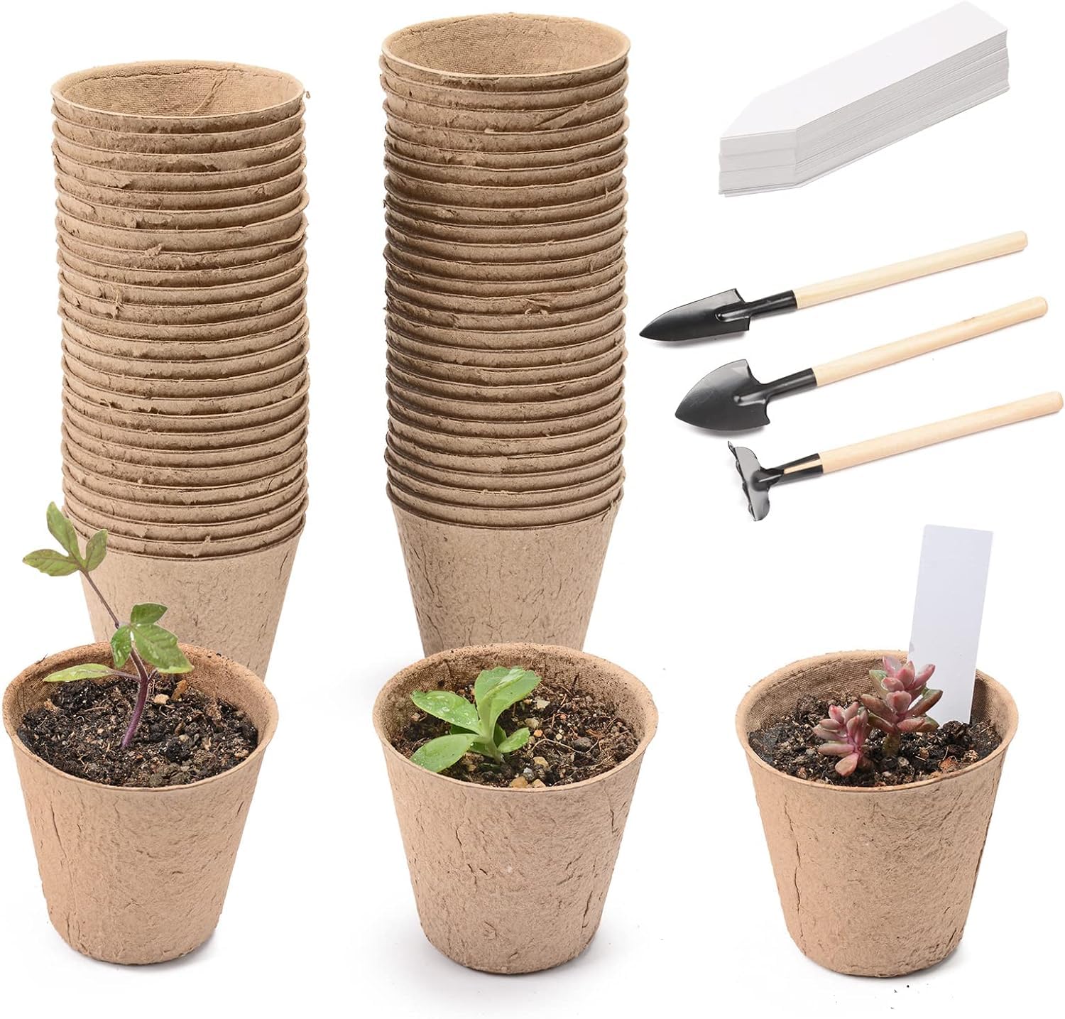 Pots Fibre Ronds 8cm Lot De 100 Pots à Semis Biodégradables En Fibre 8cm Avec Étiquettes - Pots Ronds Pour Graines, Légumes, Fleurs | Jardin, Balcon, Serre Lot 100 Pots Ronds 8x8 Cm