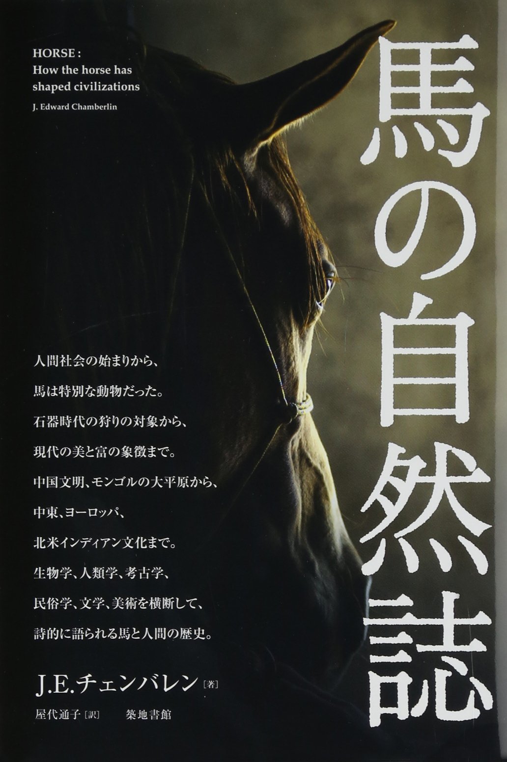 藤田西洋 馬と馬車の風景 センジェルメン ドゥ プレ教会 風景の中で馬