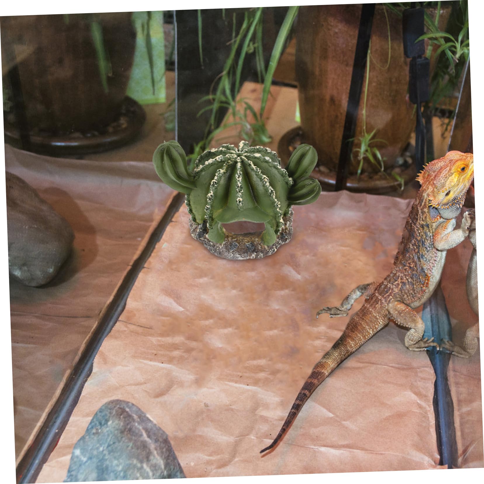 VANZACK 4piezas Cueva De Reptiles De Forma De Cactus Refugio Decorativo para y Terrarios Natural para y De Ocultación para Reptilianas