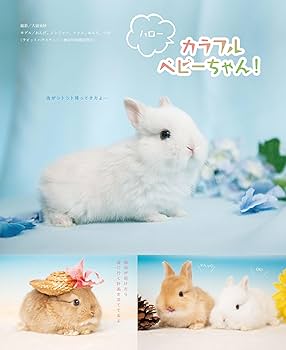 うさぎ様 うさぎのサニー うさぎしんぼる展 | ⁡ ✉︎おしらせ