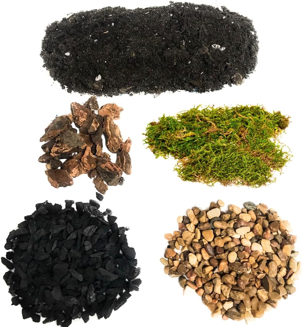 DIY Terrarium Kit Review: NauticalCrush Trading Succulent Planter Essentials for Indoor Gardens