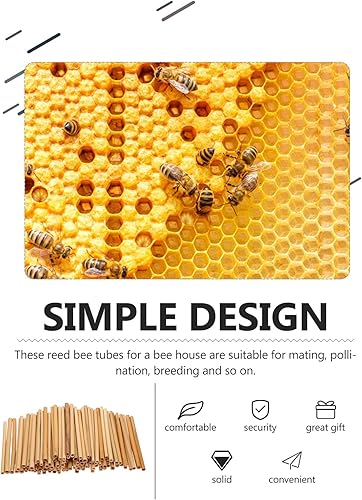 Miniatura 8 de Tubos Mason Bee Tubes Mason Bee House Tubes 100 tubos de cartón de abeja de 6 pulgadas, suministros de abeja, tubos de repuesto para apicultor para