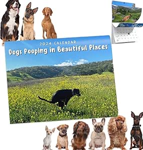 Boîte Cadeau Carton Blanc Argent Tirelire Anniversaire SANTEX 6652