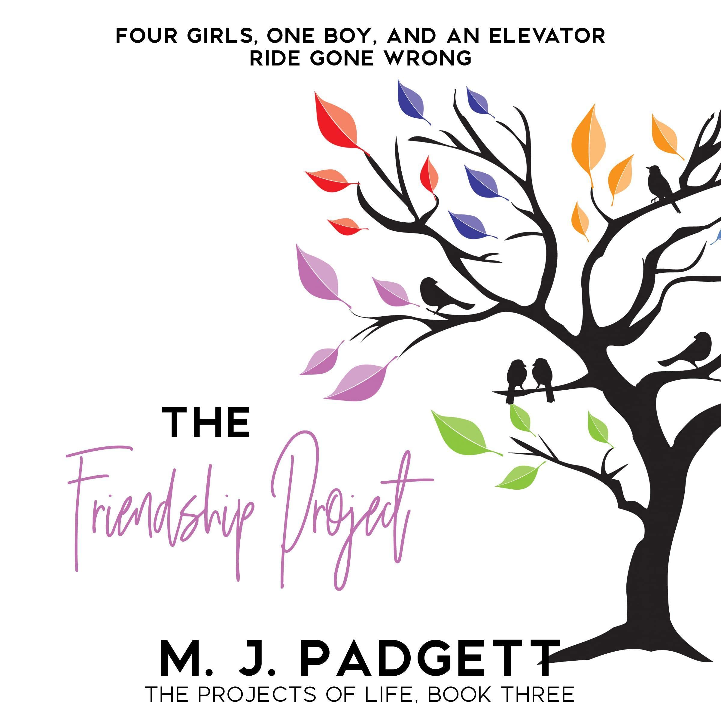Cover art for The Friendship Project
