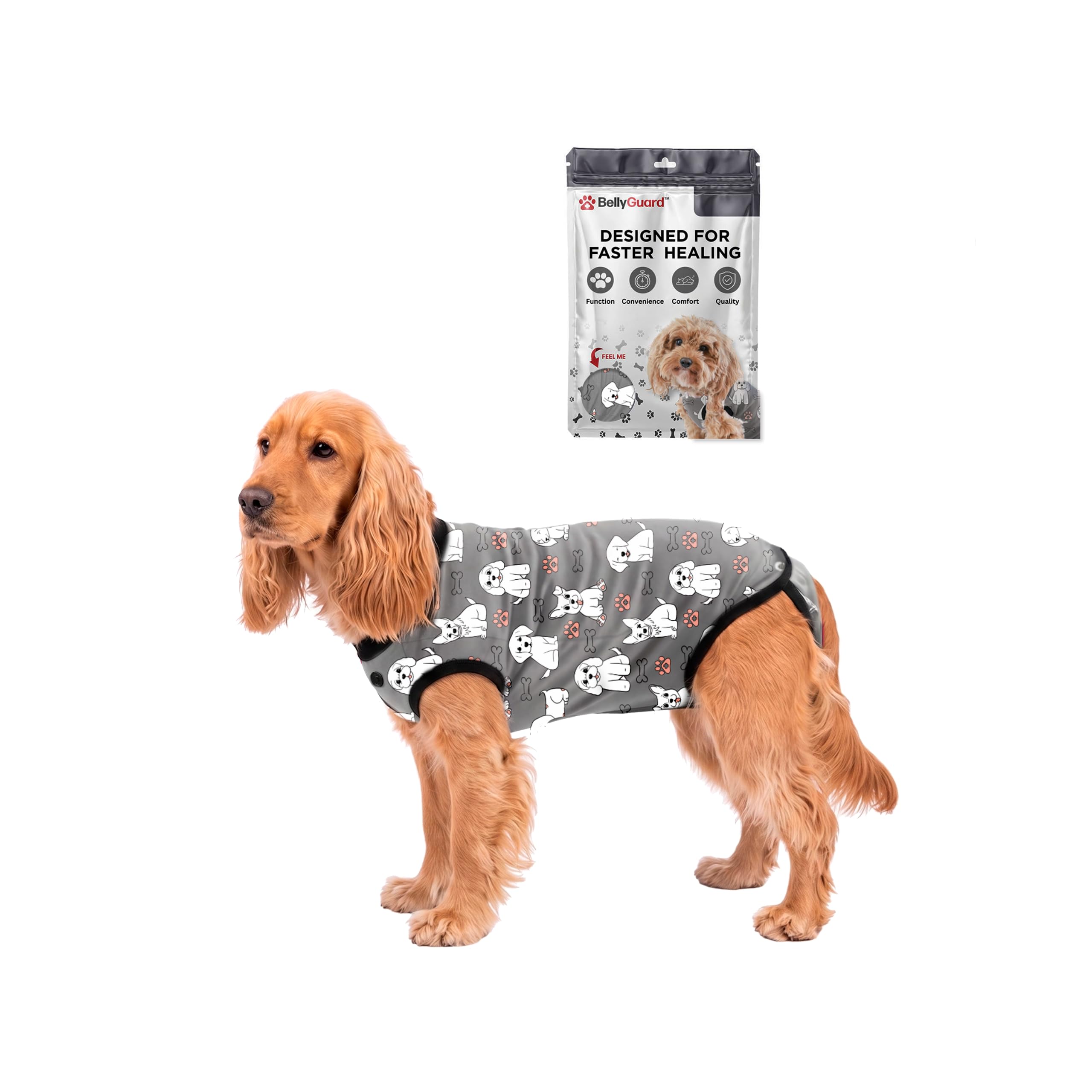 BellyGuard Dog Surgery Recovery Suit, Male Female After Spay Neuter Onesie
