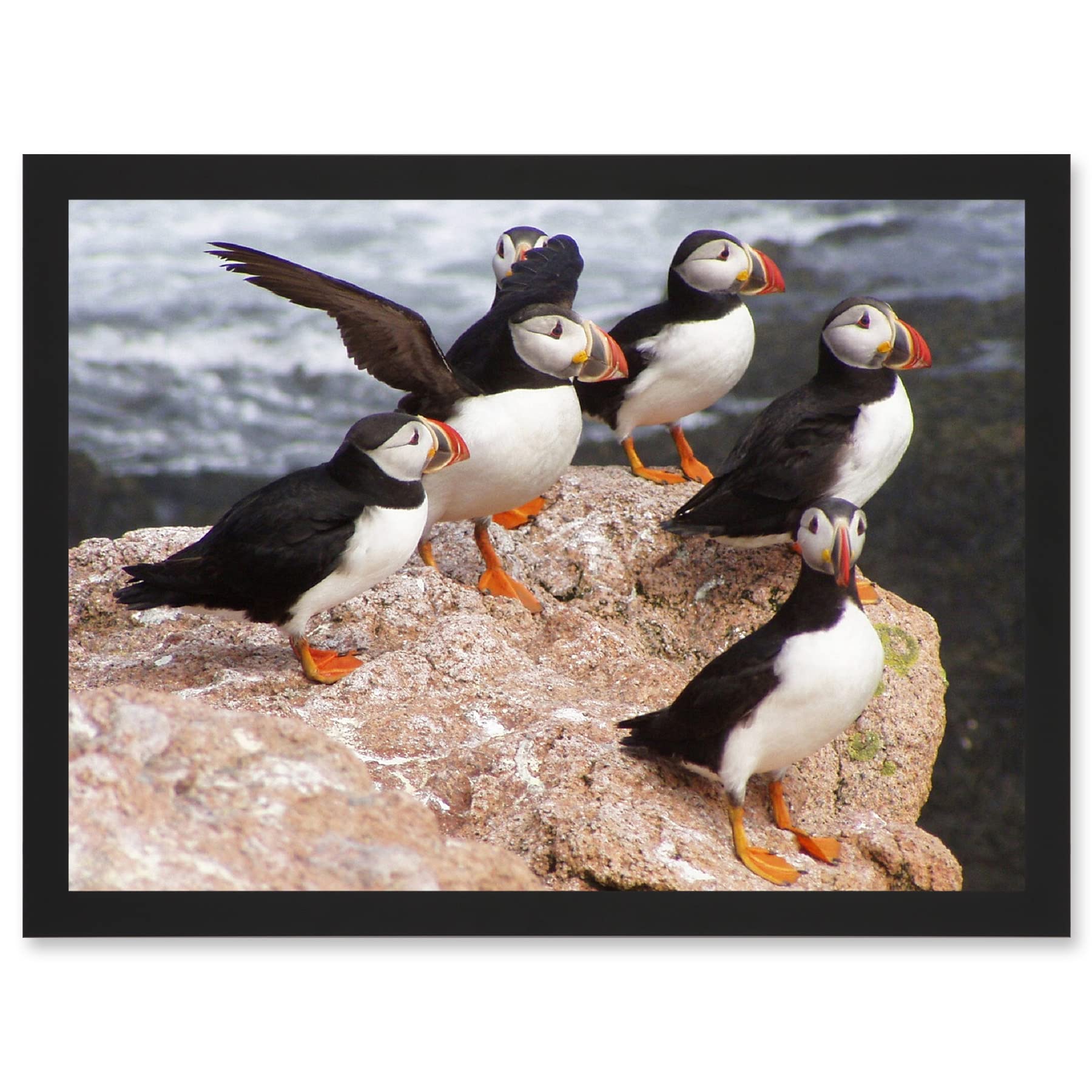 Artery8 Animal North Atlantic Puffins Birds Beach Edge of Ocean Rock Artwork Framed Wall Art Print A4