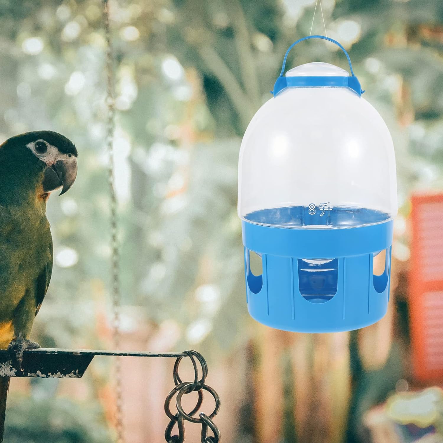 Hemobllo 1pc Automatic Pigeon Water Feeder Transparent Bird Watering Tool Inclined Cover Design for Easy Monitoring for Pigeon Care and Maintenance
