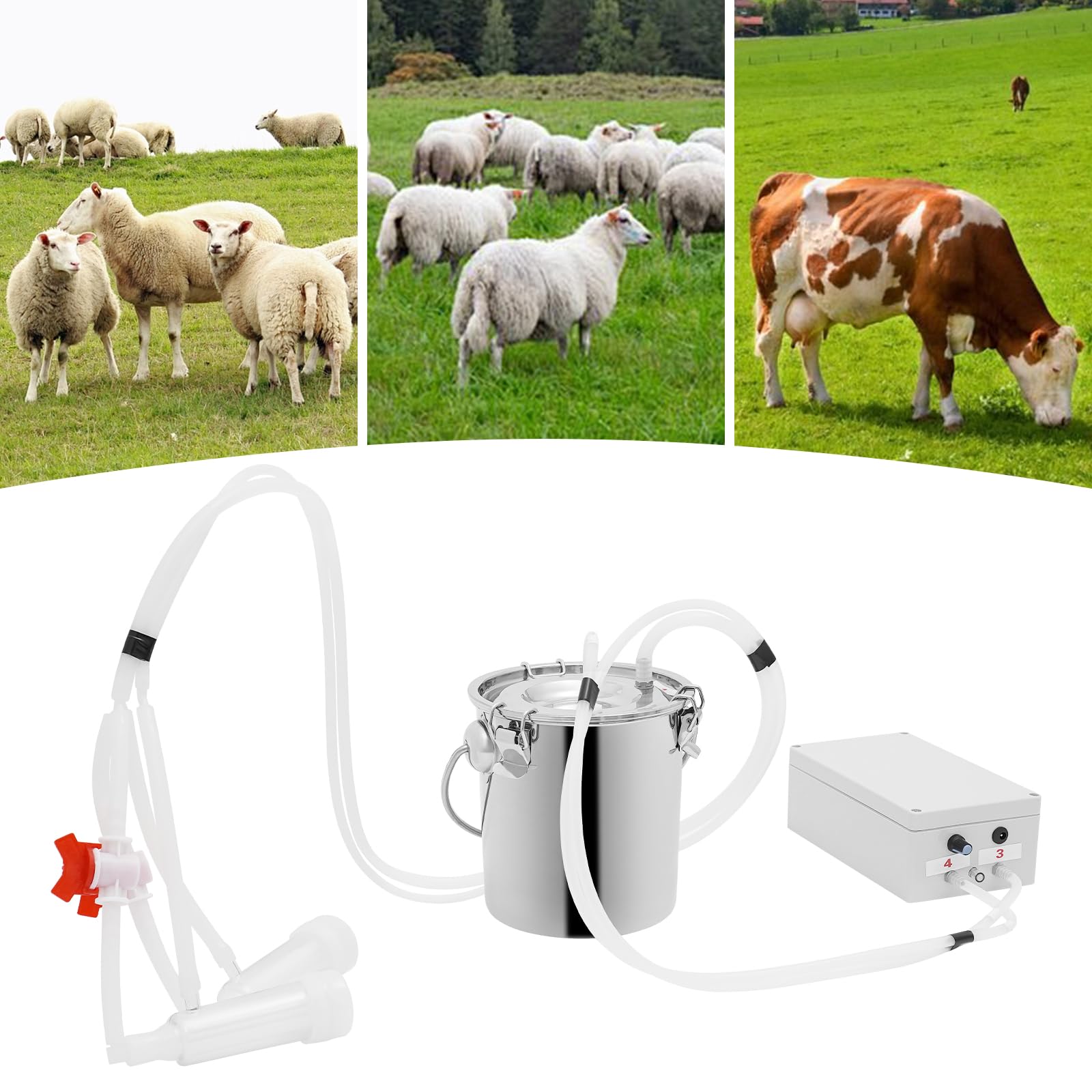 Máquina de ordeño de pulsaciones con depósito de acero inoxidable 3 L, ordeñadora eléctrica para cabras y vacas con caudal de 15 l/min, sistema automático de ordeño al vacío