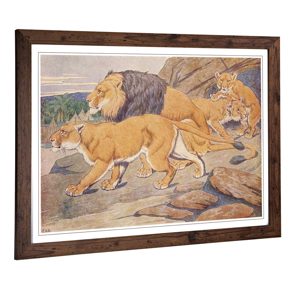 Big Box Art Framed Print of Vintage Percy J Billinghurst Lions Design | Wall Art Picture | Home Decor for Kitchen, Living Room, Bedroom, Hallway, Walnut, A2 / 24.5x18 Inch / 62x45cm