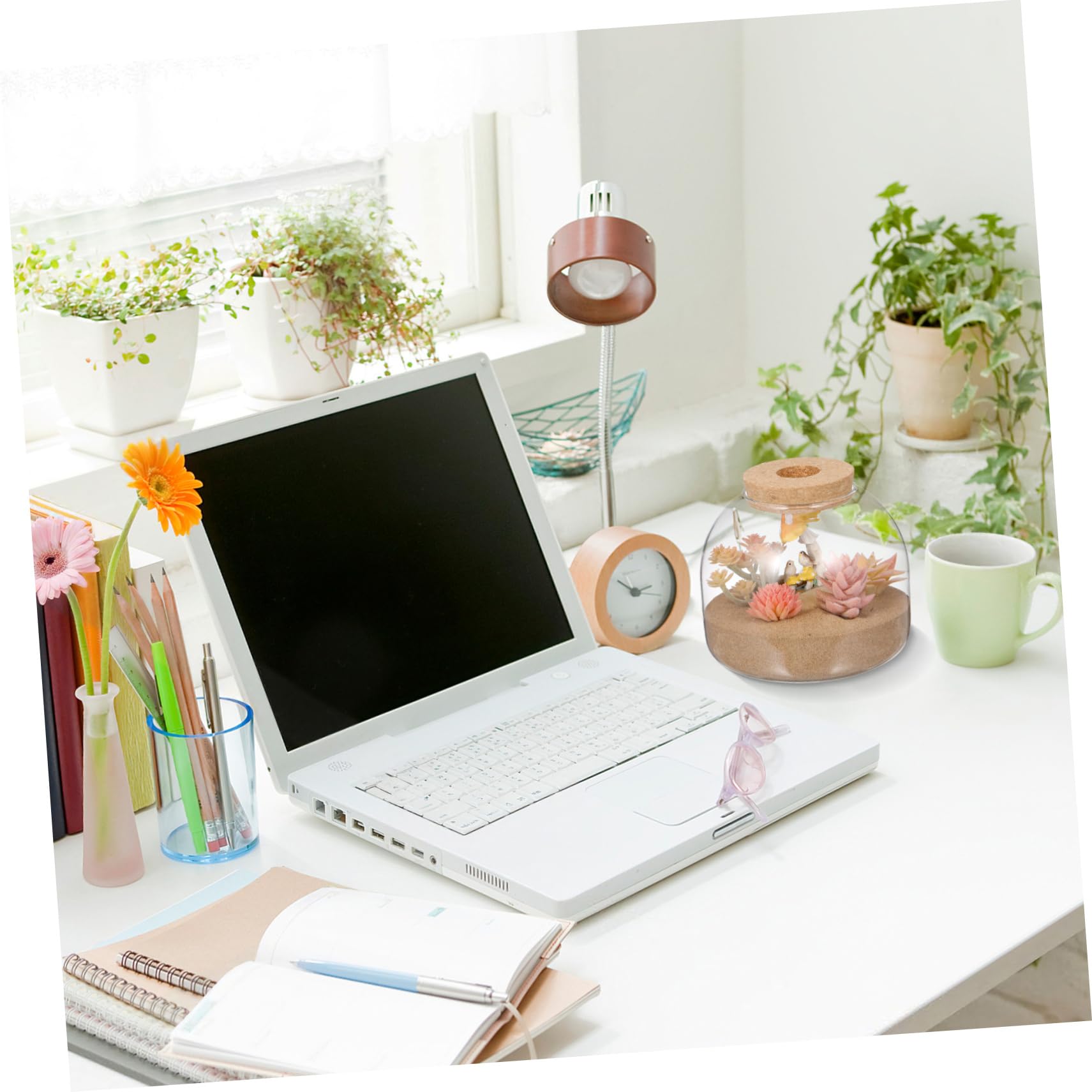 Kleines Terrarium für Pflanzen Dekoratives Gefäß mit Korkdeckel für Moos und Miniaturgärten Perfektes Wohnaccessoire und für Pflanzenliebhaber