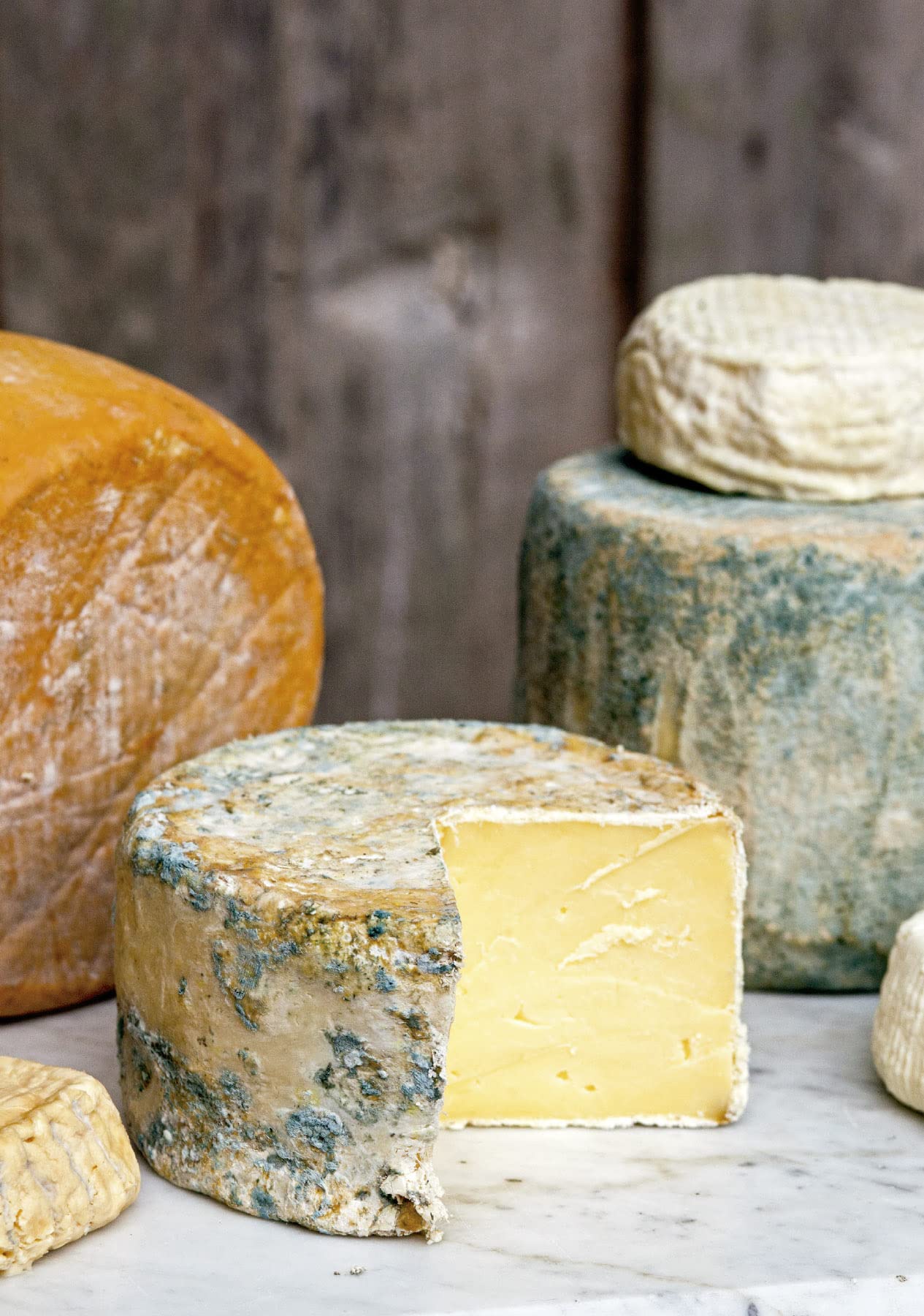 El arte de hacer queso (Los ilustrados)