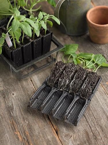 Deep Rootrainer - Iniciador de semillas de plástico, 11-12 pulgadas de largo x 9 pulgadas de ancho x 3-12 pulgadas de alto en general, 32 celdas