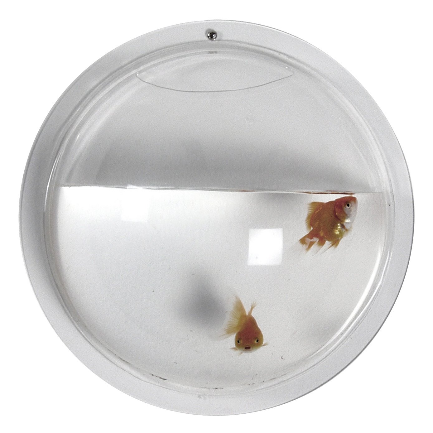 Boom Hemisphere Wall-Mount Fish Bowl, Clear
