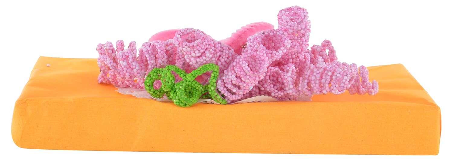 Buy Ayukta Crafts Handmade Paper Crafted Quilled Art; a Very Elegant Paper Box and a Gift Box; a