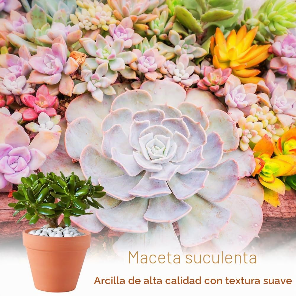 Pack de 24 Macetas de Terracota de 5 x 5,5 cm, Pequeñas Macetas de Barro, Mini Macetas de Barro de Terracota con Agujero de Drenaje, para Plantas para el Hogar y la Oficina