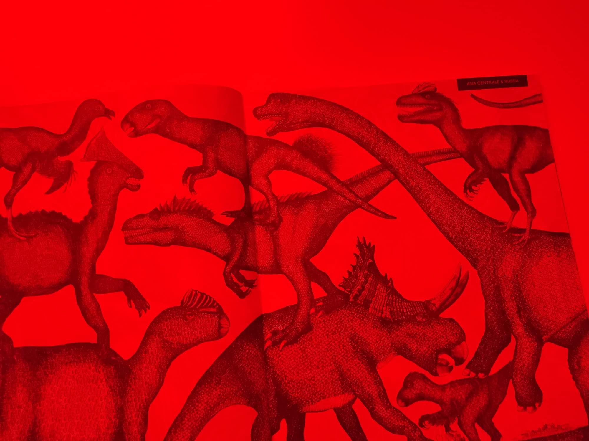 Illuminosauro. Esplora il mondo dei dinosauri con la tua magica lente a 3 colori. Ediz. a colori. Con lenti colorate