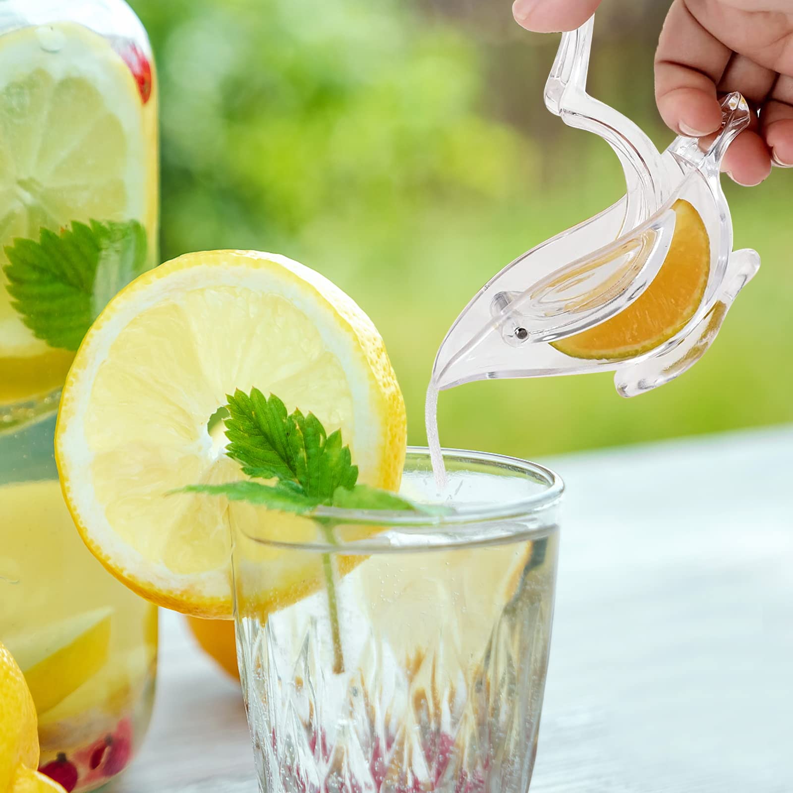 Presse Citron Acrylique Transparent - 2 Pièces - Forme Oiseau