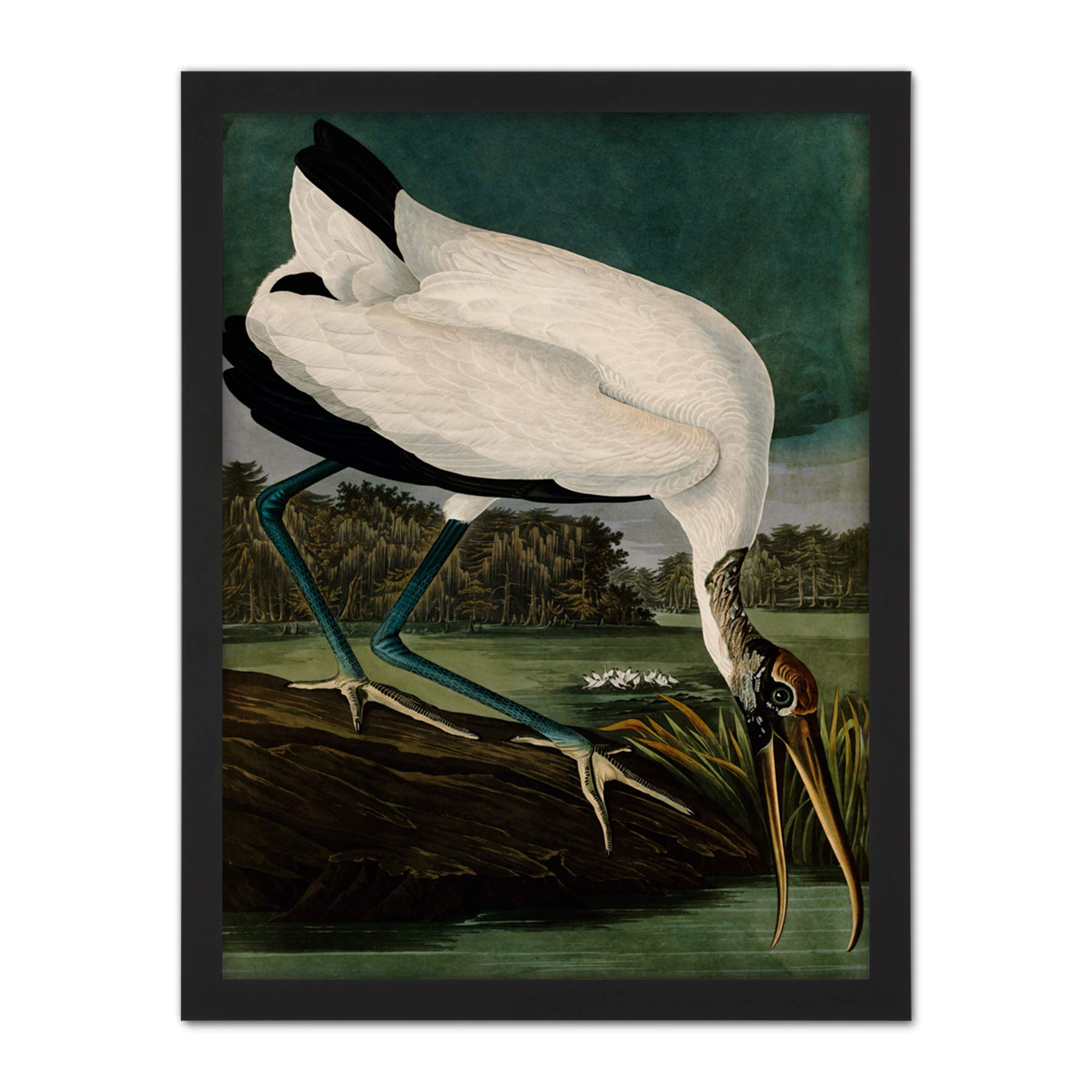 Artery8 Audubon Birds Wood Ibis Painting Artwork Framed Wall Art Print 18X24 Inch