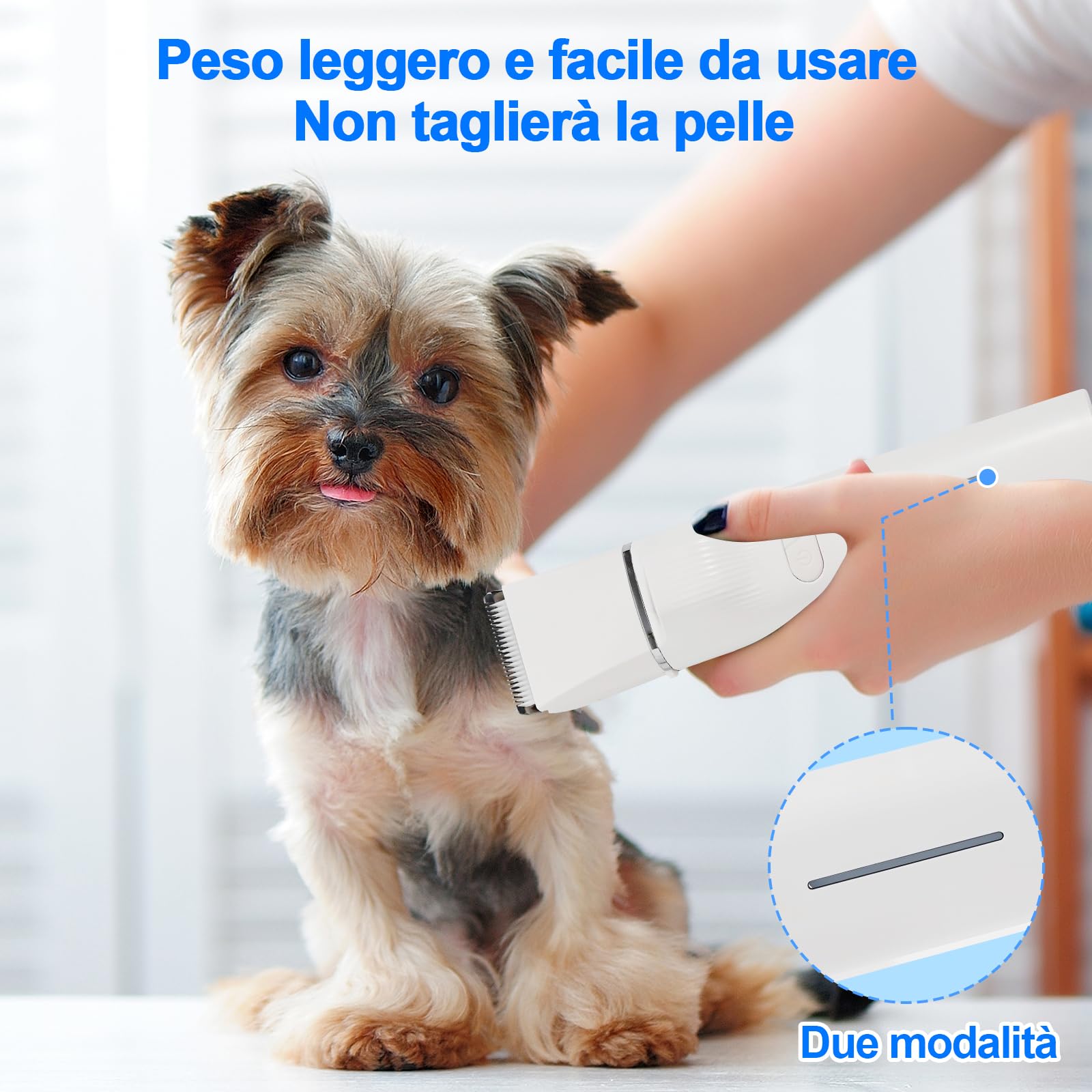 4 In 1 Tosatrice Per Cani Professionale, Rasoio Per Cani Con Luce LED E Lampada Viola UV, Silenzioso Tosatrice Per Gatti, Per Corpi, Zampe, Occhi, Orecchie, Viso (Bianco)