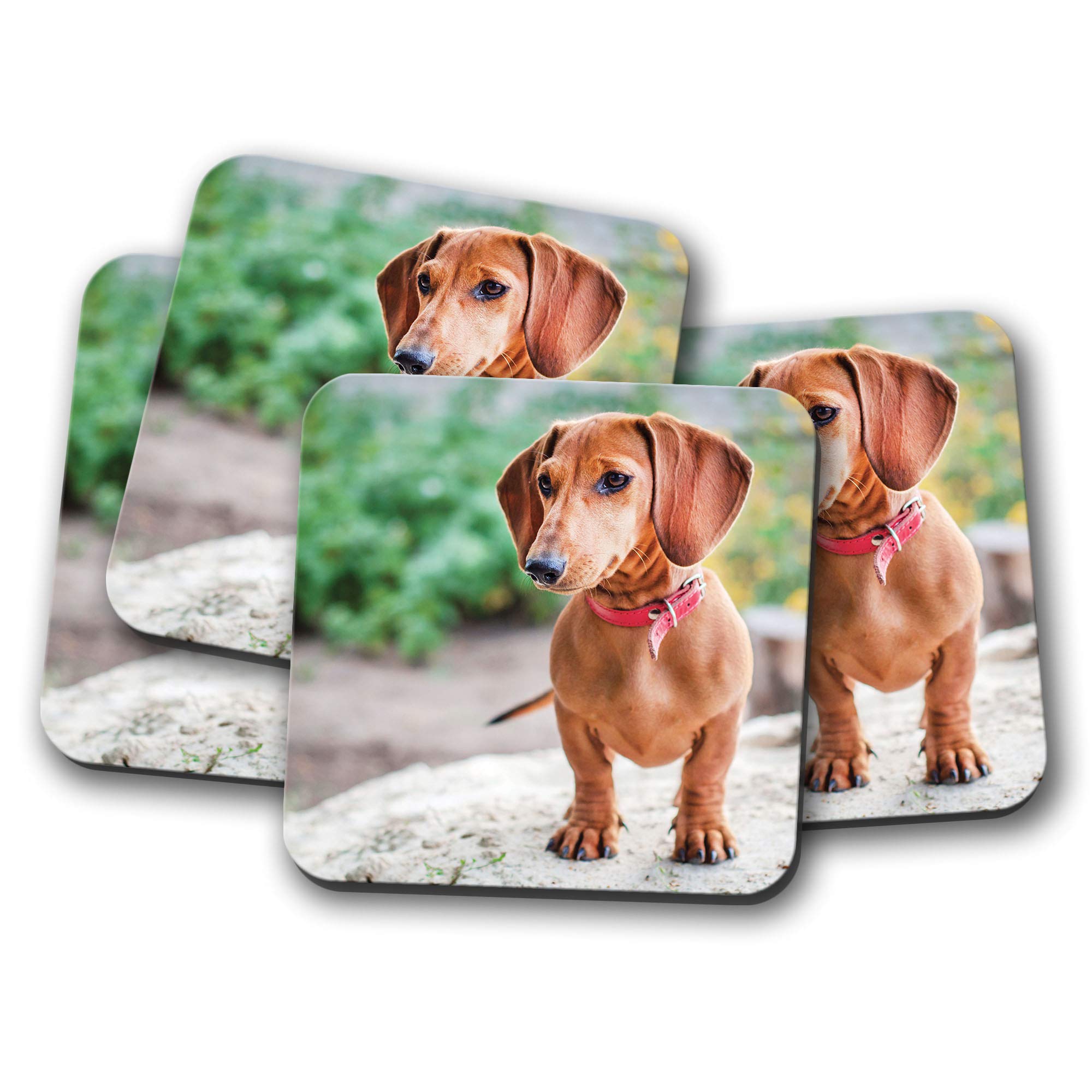 Destinationvinyl Multicolor 4 Set - Cute Dachshund Coaster - Sausage Dog Puppy Pet Animal Hound #14804