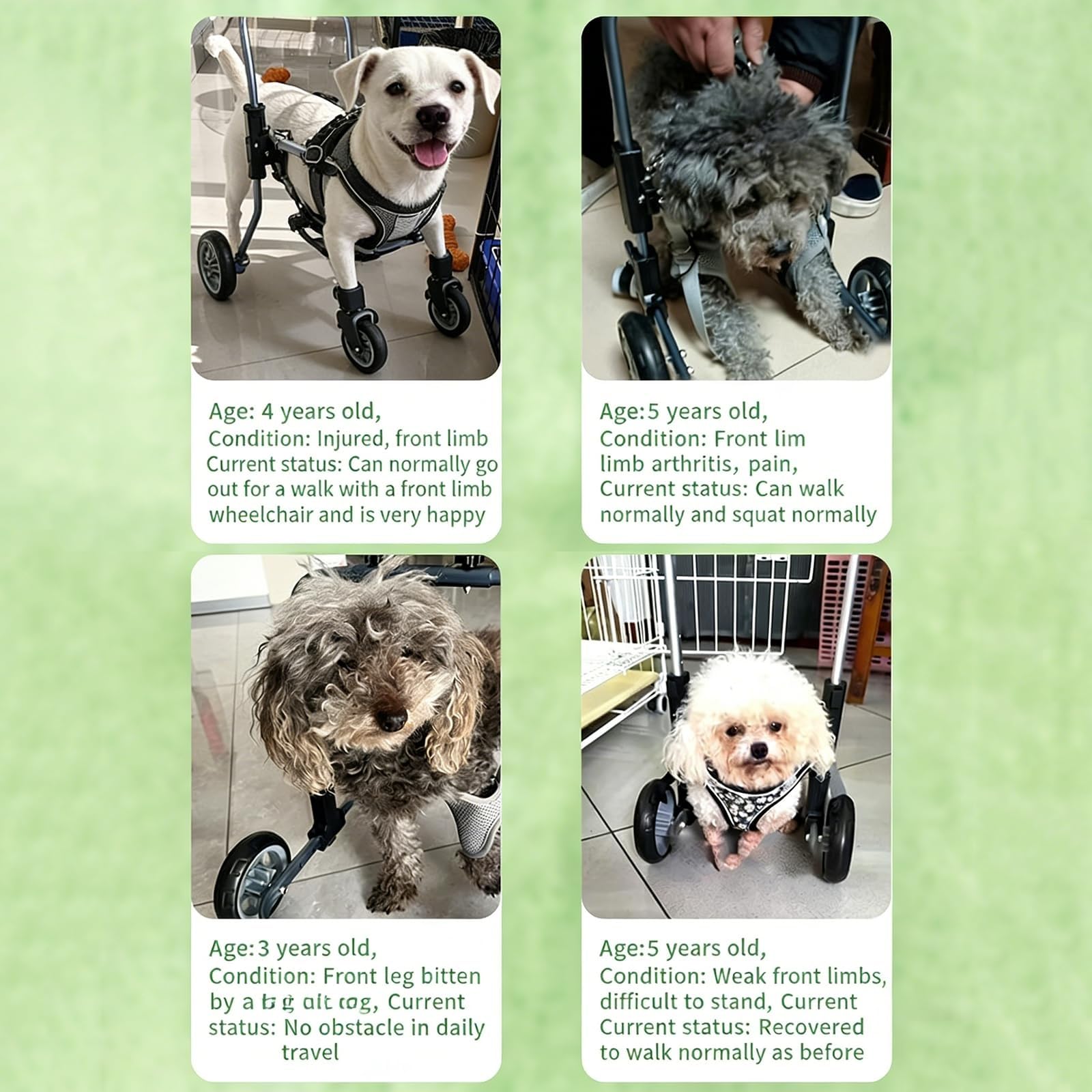 Carrellino Leggero Per La Mobilità Degli Animali – Carrozzina Regolabile A 4 Ruote Per Cani (Zampe Anteriori E Posteriori) – Ideale Per Cani E Gatti Disabili, Invalidi O Infortunati(S)