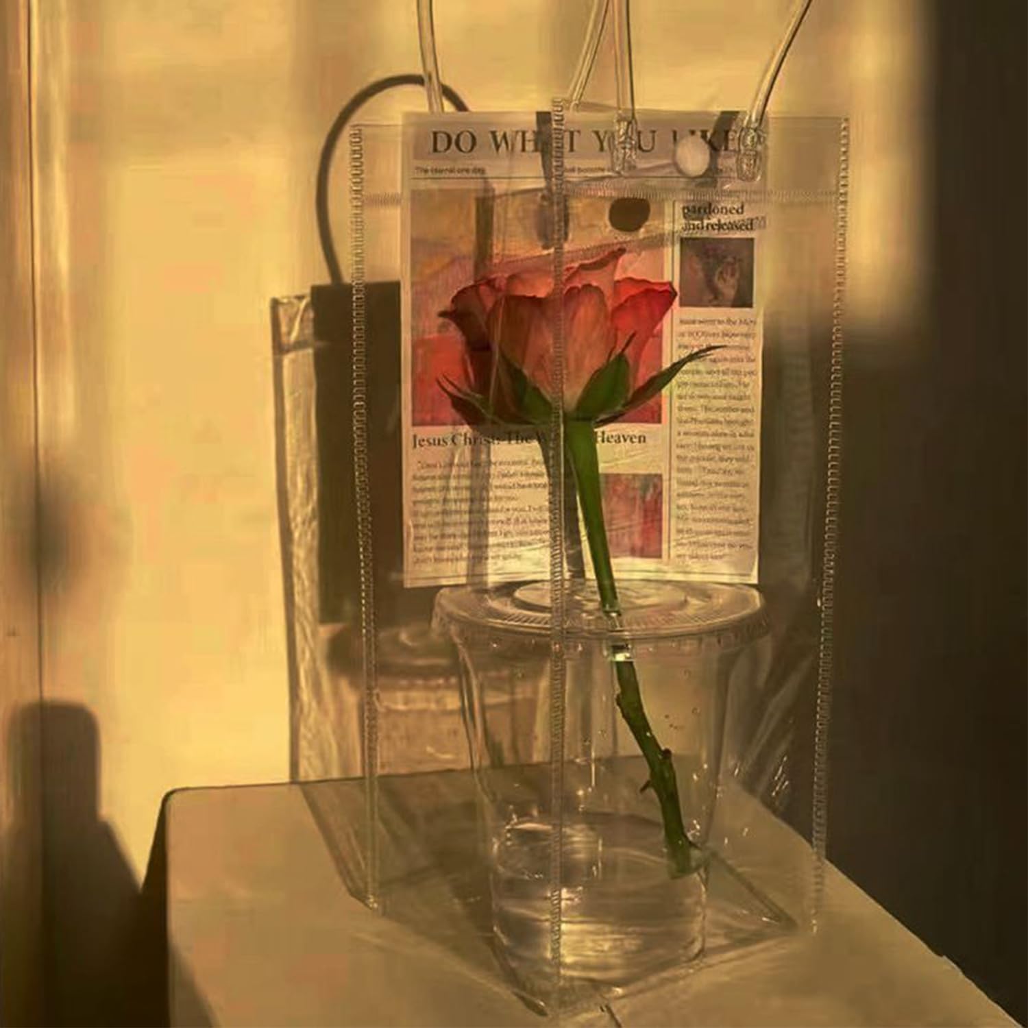 10 pezzi Champagne in PVC trasparente, Refrigeratori Per Bottiglie Trasparenti, Impacco di ghiaccio in PVC Champagne, Borsa Refrigerante Bottiglie con Manico (Aggiornamento senza perdite d'acqua)