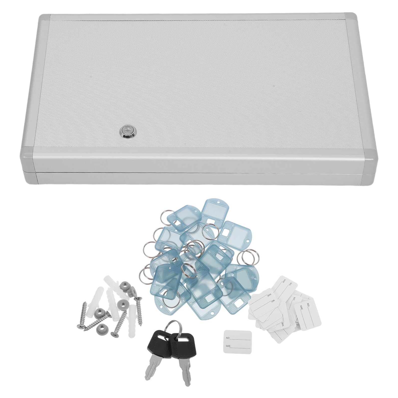 Homoyoyo Armoire à Clés Murale Verrouillable pour 48 Clés, Argenté