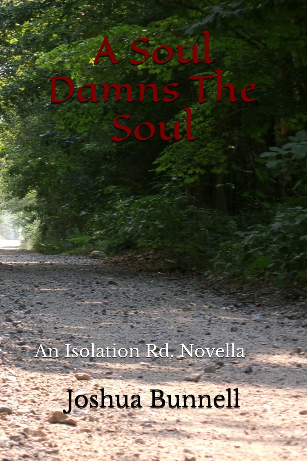A Soul Damns The Soul