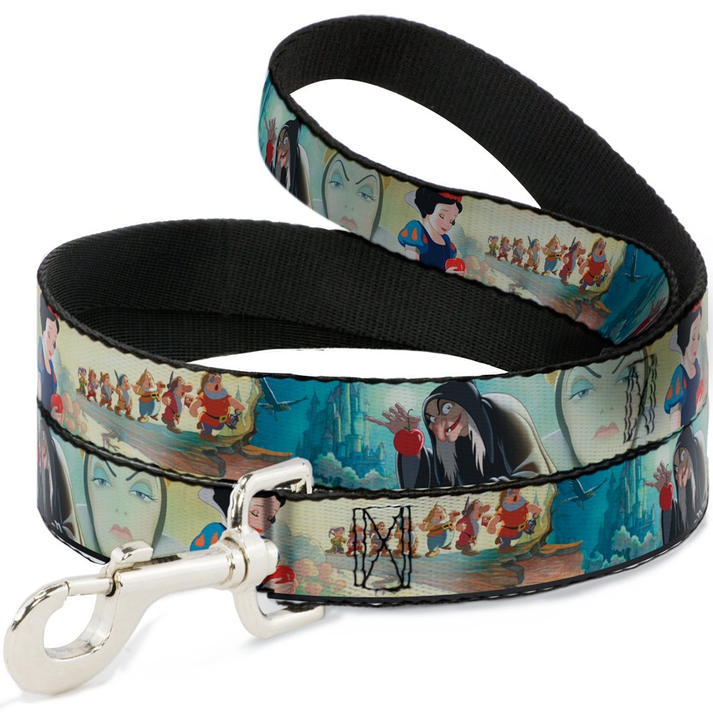 Laisse pour animal domestique Buckle Down idéale pour promener votre chien en ville