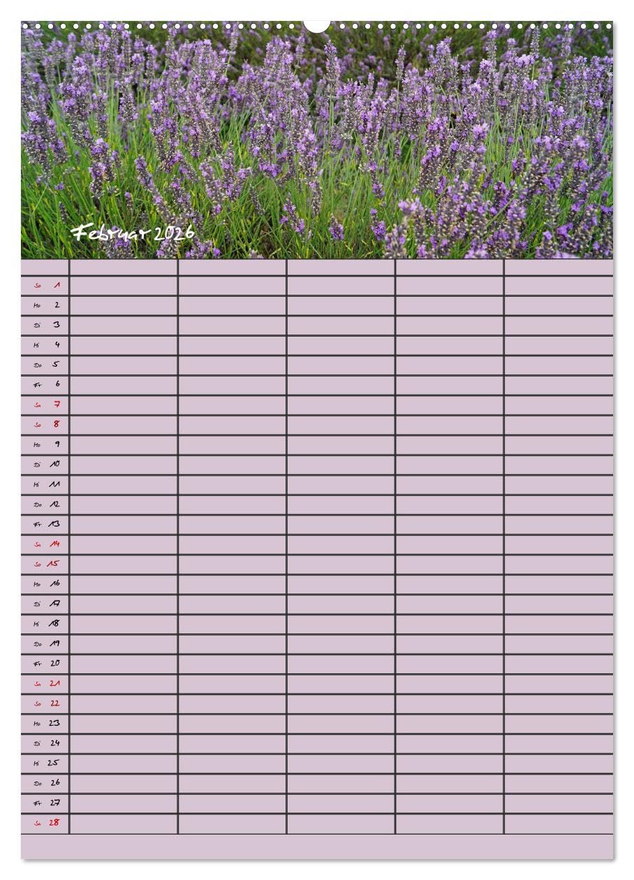 Naturzauber Lavendel - Familienplaner (hochwertiger Premium Wandkalender 2026 DIN A2 hoch), Kunstdruck in Hochglanz: Lavendel in England mit unterschiedlichen Farbnuancen. (CALVENDO Natur)