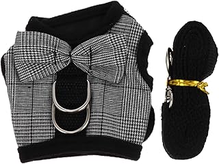 Ipetboom Terno De Coelho Colete De Arnês De Gatinho Transportadores De Coelho Para Coelhos Cinta De Passeio De Gatinho Arnês De Gato Colete De Hamster Laranja Roupa Ao Ar Livre Colete De