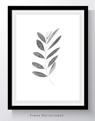 Miniatura 2 de Olive Branch with Leaves Botanical Wall Art Print - 11x14 UNFRAMED, Minimalist Modern Black & White Decor - A Neutral, Contemporary Look for Any Room